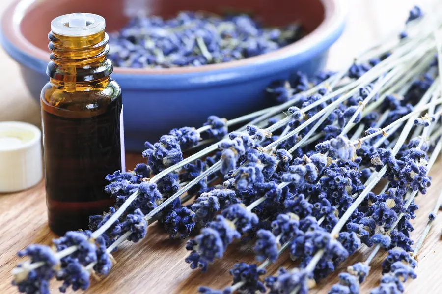 Lavender and aromatherapy oils